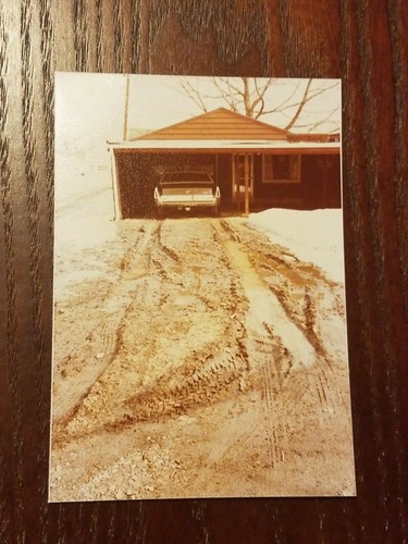 Vintage color photograph - vintage,