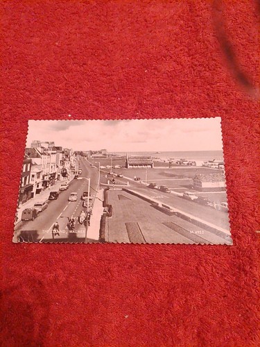 The strand walker with classic - strand,