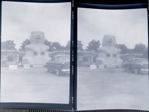 Vintage photo negative lot - negative,