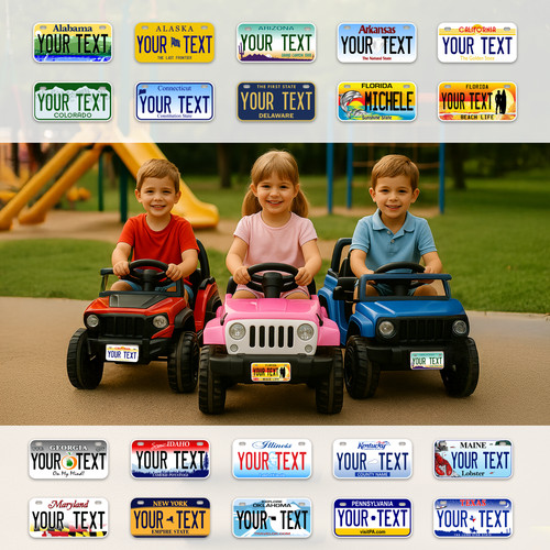 Custom mini state plates all - custom, |
